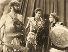 The Warrior's Husband